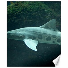 LEOPARD SHARK Canvas 16  x 20  