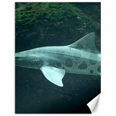 Leopard Shark Canvas 18  X 24   by trendistuff