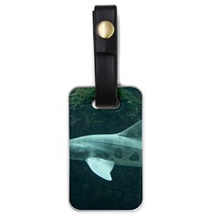 Leopard Shark Luggage Tags (one Side)  by trendistuff