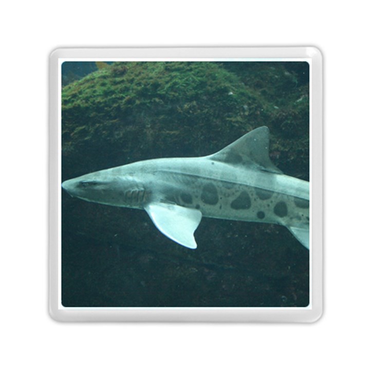 LEOPARD SHARK Memory Card Reader (Square) 