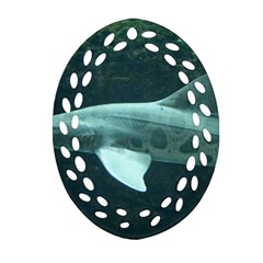 Leopard Shark Ornament (oval Filigree)