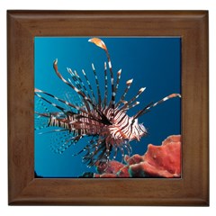 Lionfish 1 Framed Tiles by trendistuff