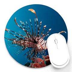 Lionfish 1 Round Mousepads by trendistuff