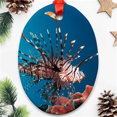 Lionfish 1 Ornament (oval) by trendistuff