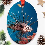 LIONFISH 1 Ornament (Oval) Front