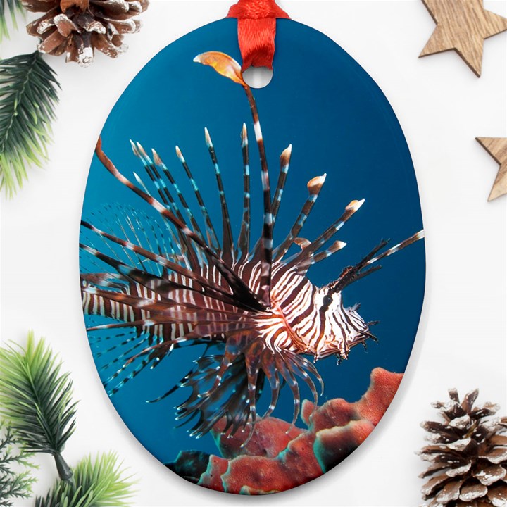 LIONFISH 1 Ornament (Oval)