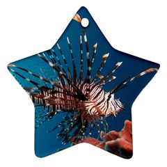 Lionfish 1 Ornament (star) by trendistuff