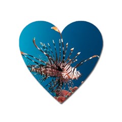 Lionfish 1 Heart Magnet by trendistuff