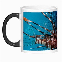 Lionfish 1 Morph Mugs by trendistuff