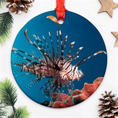 Lionfish 1 Round Ornament (two Sides) by trendistuff