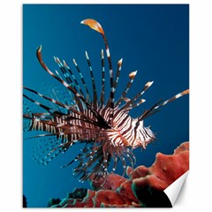 Lionfish 1 Canvas 16  X 20   by trendistuff