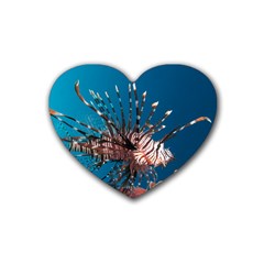 Lionfish 1 Heart Coaster (4 Pack)  by trendistuff