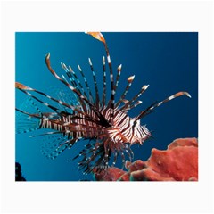 Lionfish 1 Small Glasses Cloth (2-side) by trendistuff