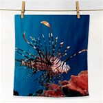 LIONFISH 1 Face Towel Front