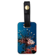 Lionfish 1 Luggage Tags (one Side)  by trendistuff