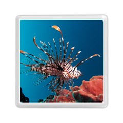 Lionfish 1 Memory Card Reader (square)  by trendistuff