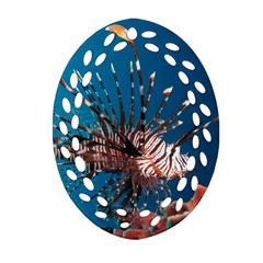 Lionfish 1 Ornament (oval Filigree)