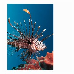 Lionfish 1 Small Garden Flag (two Sides) by trendistuff