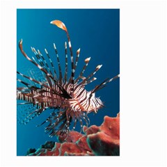 Lionfish 1 Large Garden Flag (two Sides) by trendistuff