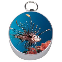 Lionfish 1 Silver Compasses by trendistuff