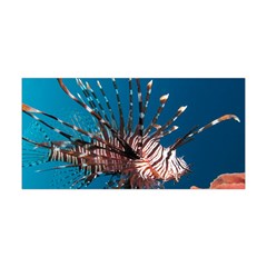 Lionfish 1 Yoga Headband by trendistuff