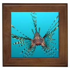 Lionfish 2 Framed Tiles by trendistuff