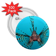 Lionfish 2 2 25  Buttons (100 Pack)  by trendistuff