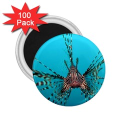 Lionfish 2 2 25  Magnets (100 Pack)  by trendistuff