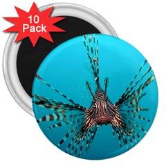 Lionfish 2 3  Magnets (10 Pack)  by trendistuff