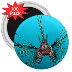 Lionfish 2 3  Magnets (100 Pack) by trendistuff