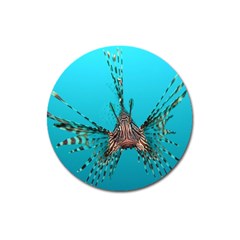 Lionfish 2 Magnet 3  (round) by trendistuff