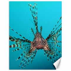 Lionfish 2 Canvas 18  X 24   by trendistuff