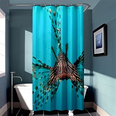 Lionfish 2 Shower Curtain 36  X 72  (stall)  by trendistuff