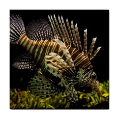 Lionfish 3 Tile Coasters by trendistuff