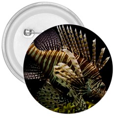 Lionfish 3 3  Buttons by trendistuff