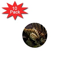 Lionfish 3 1  Mini Buttons (10 Pack)  by trendistuff