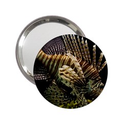 Lionfish 3 2 25  Handbag Mirrors by trendistuff