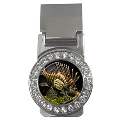 Lionfish 3 Money Clips (cz)  by trendistuff