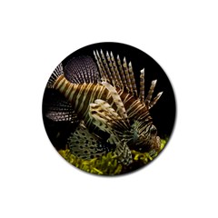 Lionfish 3 Rubber Coaster (round)  by trendistuff