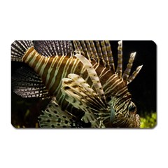 Lionfish 3 Magnet (rectangular) by trendistuff