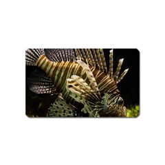 Lionfish 3 Magnet (name Card) by trendistuff