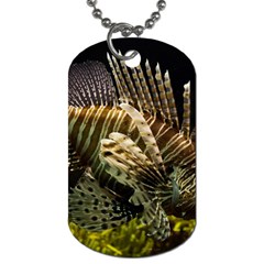 Lionfish 3 Dog Tag (one Side) by trendistuff