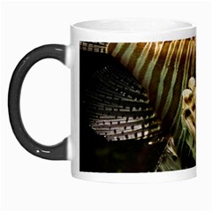 Lionfish 3 Morph Mugs by trendistuff