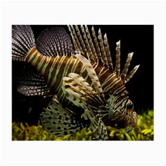 Lionfish 3 Small Glasses Cloth by trendistuff