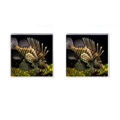 Lionfish 3 Cufflinks (square) by trendistuff