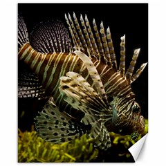 Lionfish 3 Canvas 16  X 20   by trendistuff