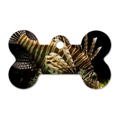 Lionfish 3 Dog Tag Bone (one Side) by trendistuff