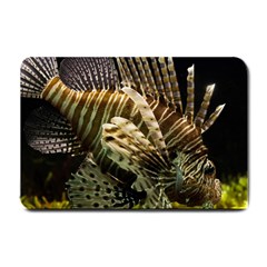 Lionfish 3 Small Doormat  by trendistuff