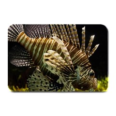 Lionfish 3 Plate Mats by trendistuff