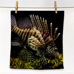 Lionfish 3 Face Towel by trendistuff